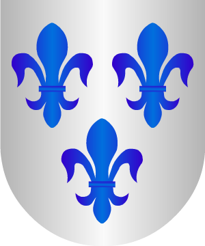ESCUDO ALEATORIO